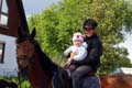 Pferd, Reiten