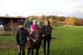 Pferd, Reiten